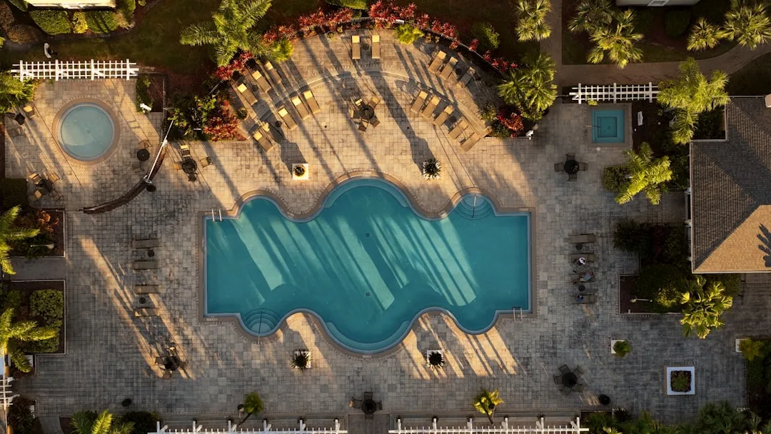 Phoenix backyard pool and landscape design