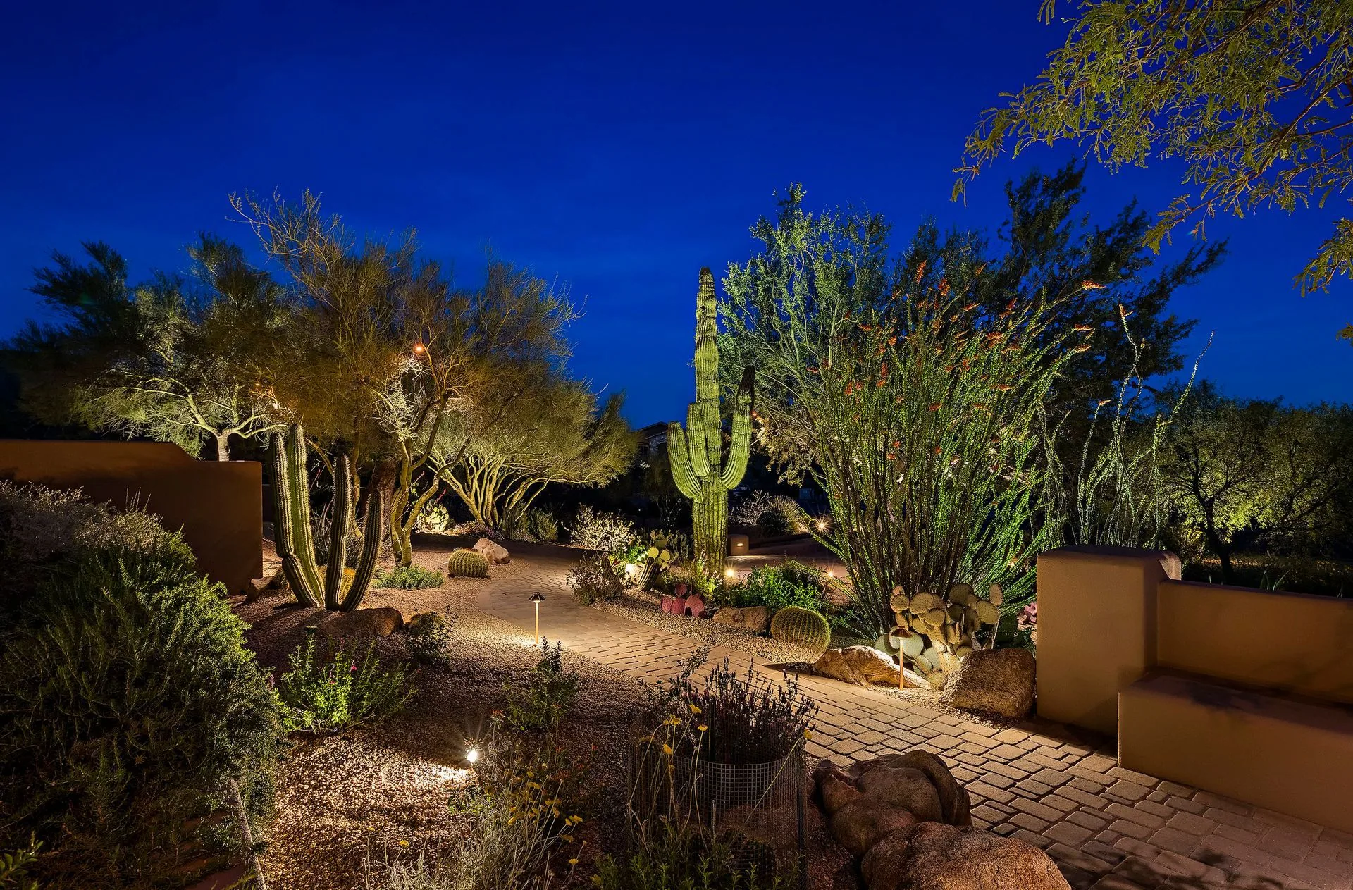 Designed desert backyard with uplit saguaros, pavers, and landscape lighting by Diamond Cut Landscape near Gilbert, AZ