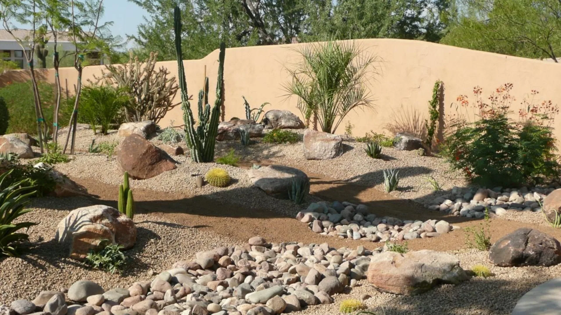 Desert planting bed with cacti, agave, boulders, and a dry creek of river rock