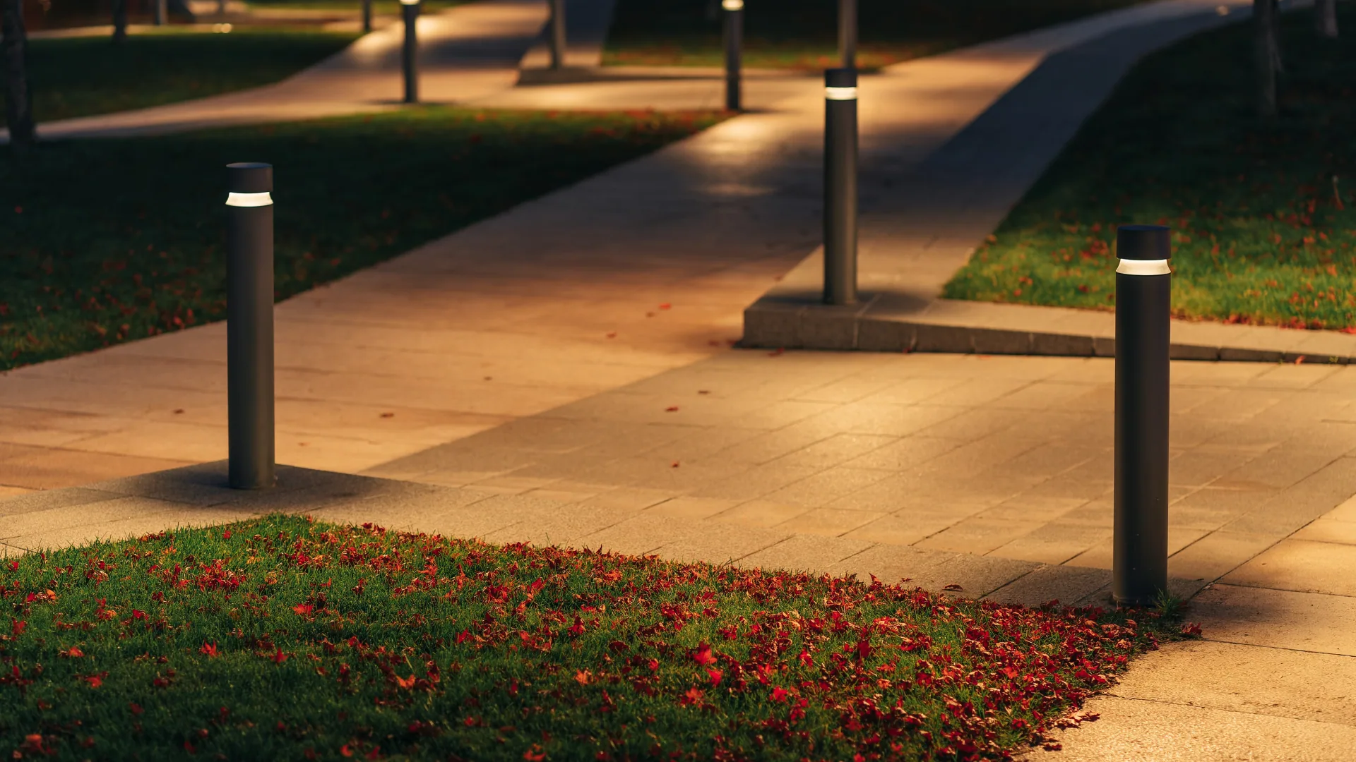 Bollard path lights lining a walkway at dusk