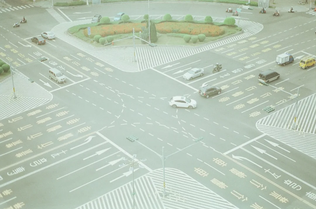 Landscape design plan showing clear traffic paths and distinct zones