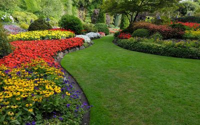 Unlock Your Dream Yard: A Guide to Finding the Perfect Landscape Design Near Me
