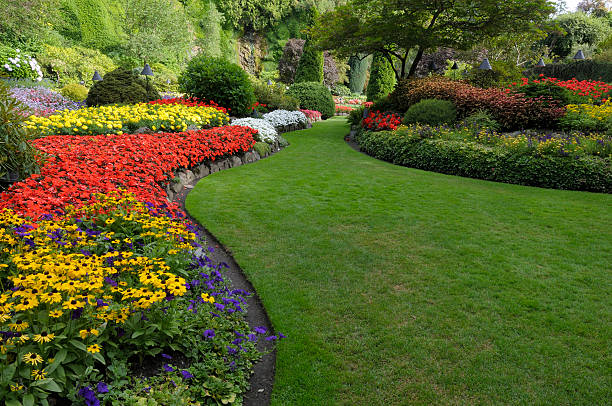Unlock Your Dream Yard: A Guide to Finding the Perfect Landscape Design Near Me