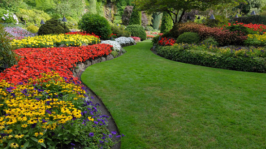 Unlock Your Dream Yard: A Guide to Finding the Perfect Landscape Design Near Me